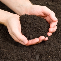 5 Cu Yd Bulk Topsoil Slts5 The Home Depot