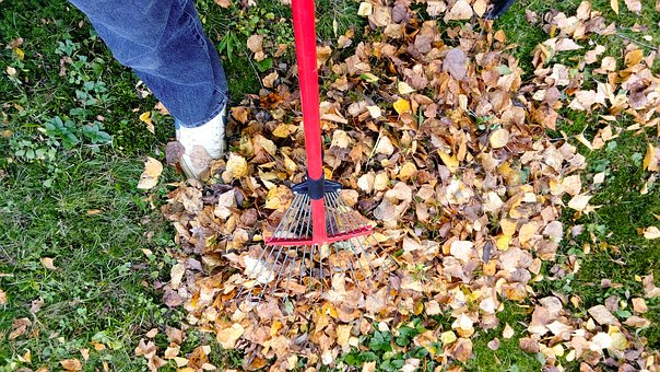 Leaf-Removal- Greensboro