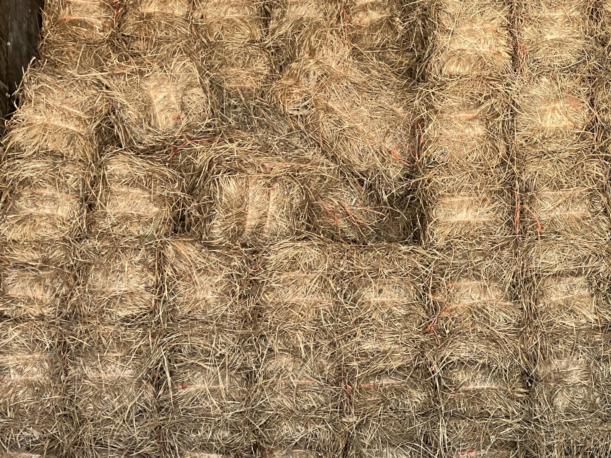 NC Long Leaf Pine Needles Available The Mulch Yard Greensboro